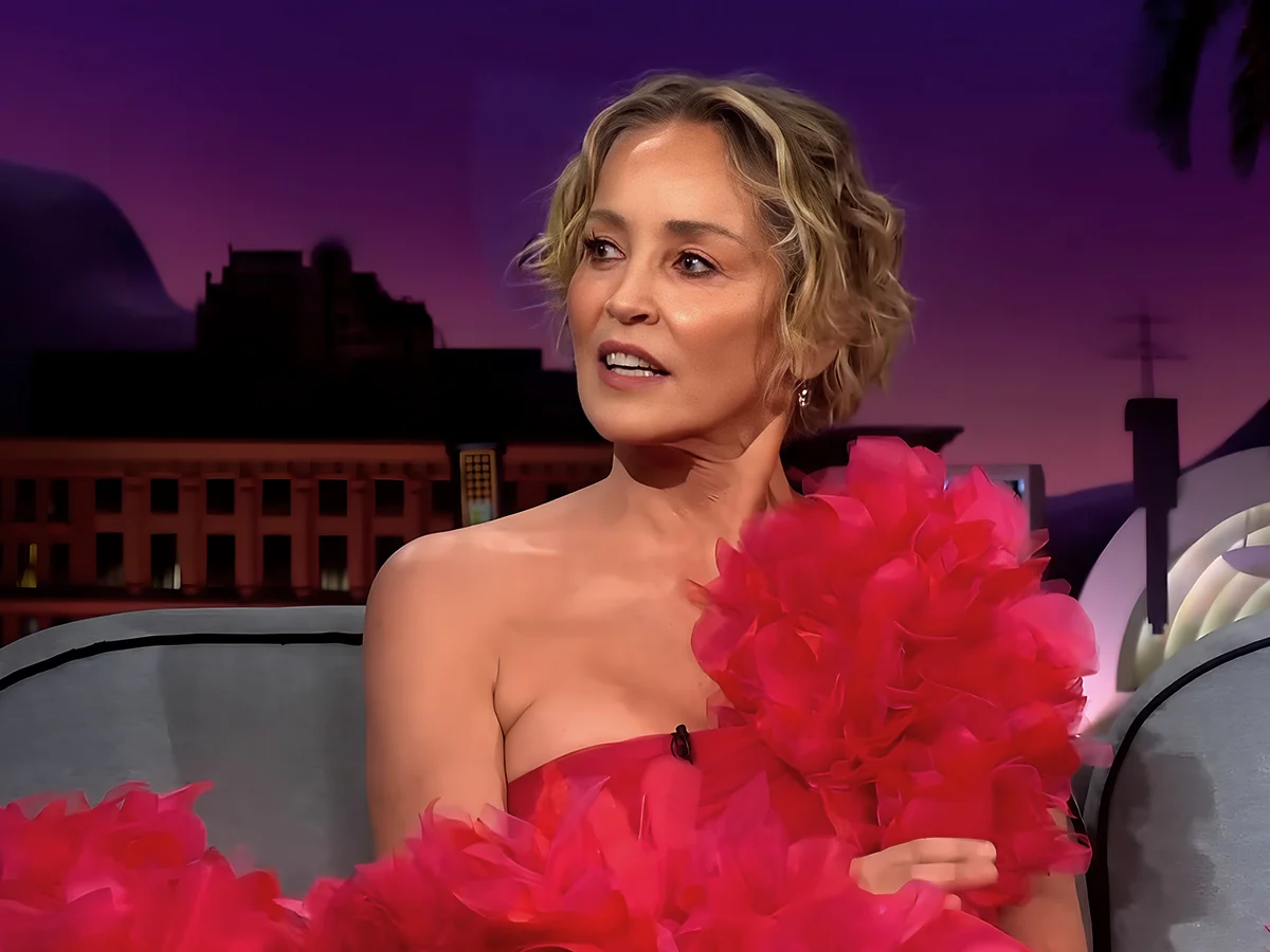 發誓沙龍·斯通（Sharon Stone）脫離好萊塢的角色：“我不會在我關心的工作之前工作”